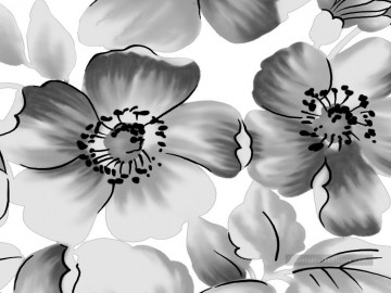 Noire et blanche œuvres - xsh500 fleurs noires et blanches